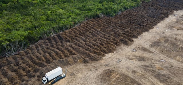 Ein Lastwagen steht in einem abgeholzten Gebiet des Amazonas.
