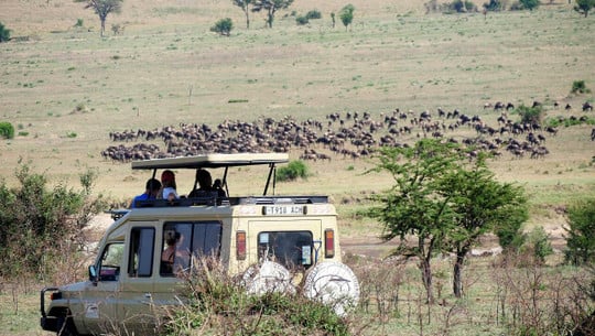 voluntourismus-cc0-pixabay-scheidt-220908 Voluntourismus