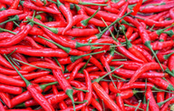 chilli-gibt-der-marinade-eine-besondere-schaerfe-cc0-pixabay-suanpa-180404_download Chilli gibt der Marinade eine besondere Schärfe