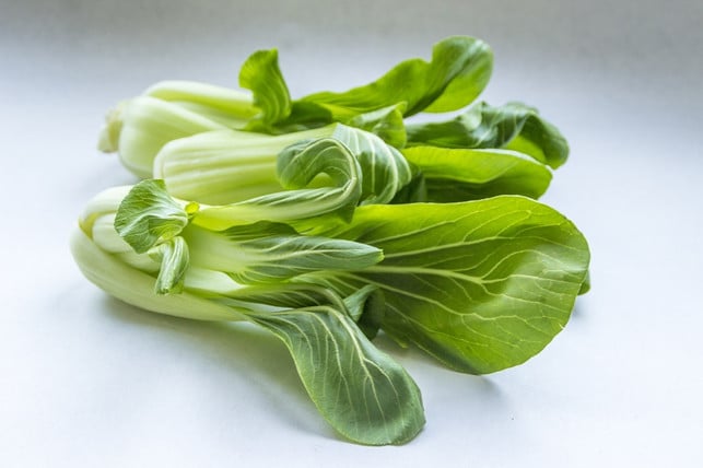 pak-choi-ist-verwandt-mit-chinakohl-und-ebenso-ges-cc0-pixabay-metsikgarden-210803_download Pak Choi ist verwandt mit Chinakohl und ebenso gesund.