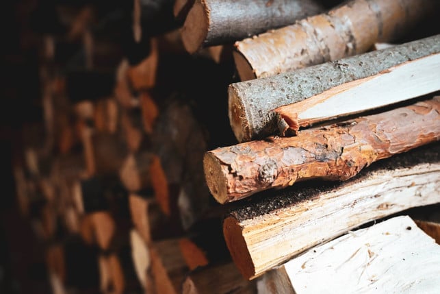 feuer-richtig-anzuzuenden-beginnt-bei-der-auswahl-d-cc0--pixabay--cecigre-251109_download Feuer richtig anzuzünden beginnt bei der Auswahl des geeigneten Holzes.