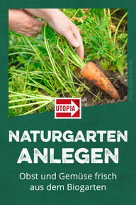 naturgarten-biogarten-anlegen-c-190424 Naturgarten anlegen: Obst und Gemüse frisch aus dem Biogarten