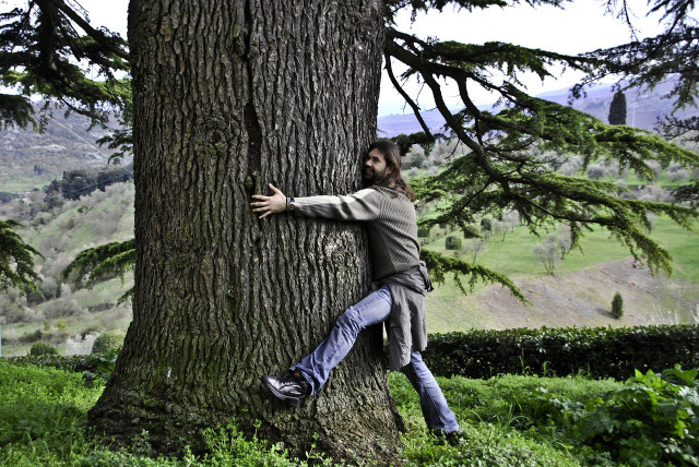 The positive aspects of nature walks have now also been scientifically proven.