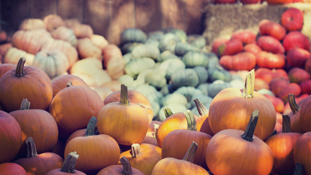 kuerbissorten-cc0-pixabay-pexels-170903 kürbissorten