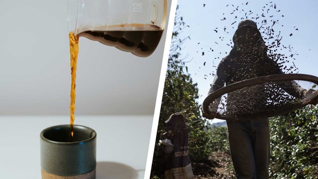Tchibo, Melitta und Co. bei Stiftung Warentest und Öko-Test: Wie gut und fair ist Kaffee? Tchibo, Melitta und Co. bei Stiftung Warentest und Öko-Test: Wie gut und fair ist Kaffee?
