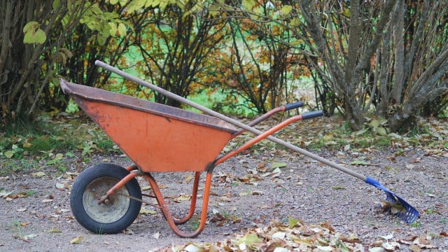 gartenarbeit-im-oktober-cc0-pixabay-ullajj-210909 Gartenarbeit im Oktober