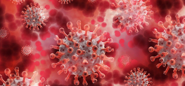 Das Coronavirus zirkuliert weiter in der Bevölkerung
