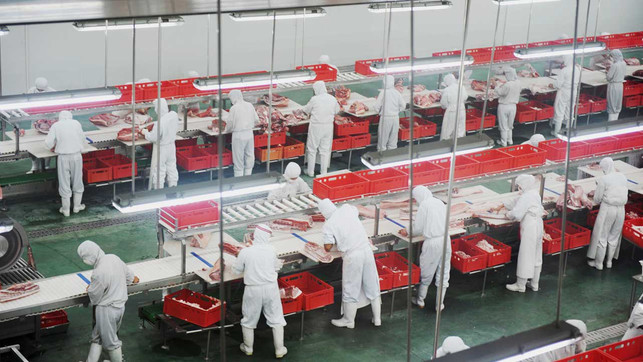 coronavirus-schlachthof-w-143187073-200513-1280x720 Coronavirus, Schlachthof, Fleisch