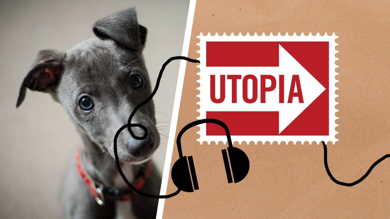 Utopia-Podcast: Nachhaltig leben mit Hund -