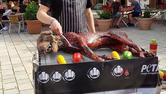 2019-06-11-Hunde-BBQ-Jena-164659-c-PETA-D Hund, gegrillt, Peta