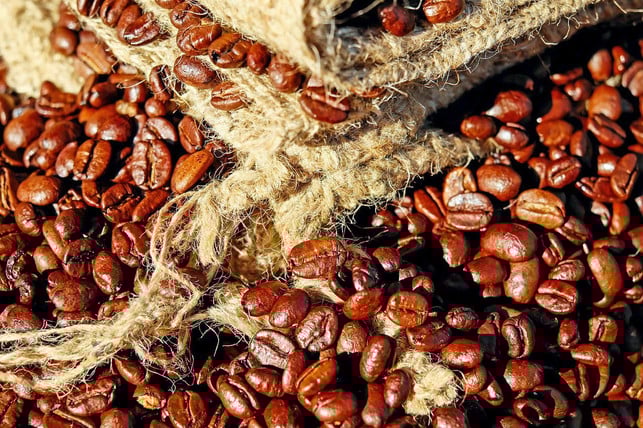 das-selbstgemachte-koerperoel-mit-kaffeebohnen-pfleg-cc0-pixabay-1195798-220630_download Ein selbstgemachtes Körperöl mit Kaffeebohnen pflegt die Haut.