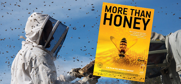More than Honey More than honey