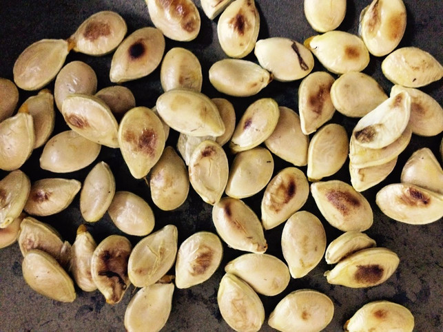 geroestete-kuerbiskerne-sind-ein-gesunder-leckerbiss-rhea-moutafis-utopia-170928_download Geröstete Kürbiskerne sind ein gesunder Leckerbissen für zwischendurch.