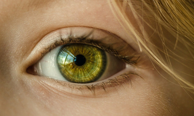 neben-blaulichtfiltern-gibt-es-weitere-tipps-mit-cc0-pixabay-skitterphoto-210520_download Neben Blaulichtfiltern gibt es weitere Tipps, mit denen du deine Augen entlasten kannst.