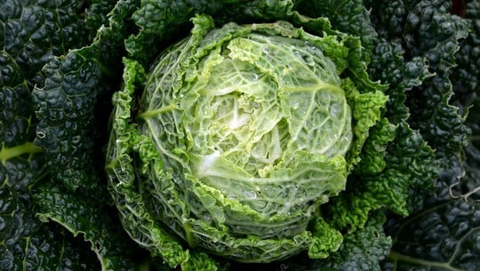 cc0-pixabay-congerdesign-180916