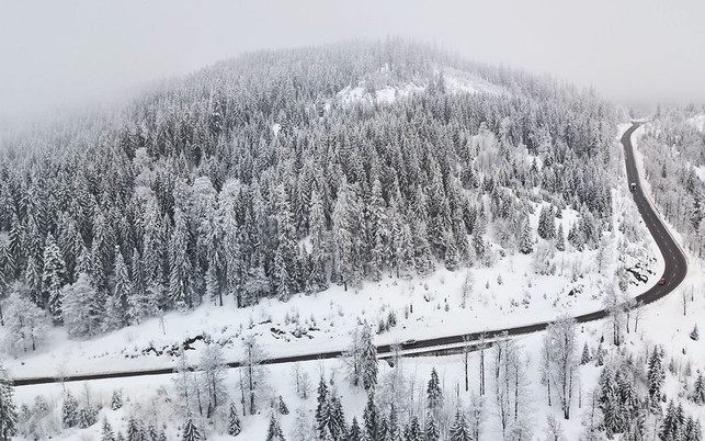 Schwarzwald-us-20201031-1280x800