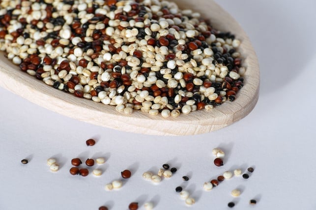 quinoa-ist-ein-pseudogetreide-und-als-saettigungsbe-cc0-pixabay-pictavio-240529_download Quinoa ist ein Pseudogetreide und als Sättigungsbeilage ein guter Eiweißlieferant.