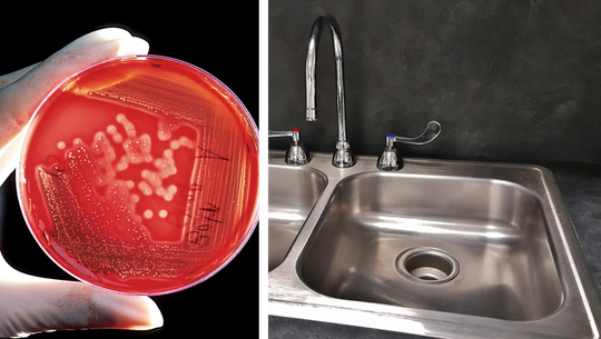 kueche-keime-cc0-pixabay-brett_hondow-cc0-pixabay-wiki-221121 küche keime