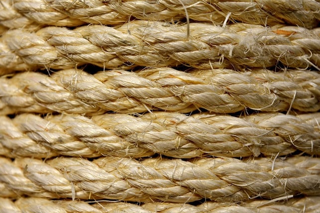 sisal-ist-eine-grobe-aber-widerstandsfaehige-pflan-cc0-pixabay-alexas_fotos-240821_download Sisal ist eine grobe, aber widerstandsfähige Pflanzenfaser.