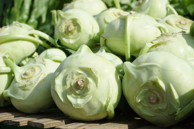 kohlrabi-ist-eine-vielseitige-knolle-cc0-pixabay-hans-210709_download Kohlrabi ist eine vielseitige Knolle.