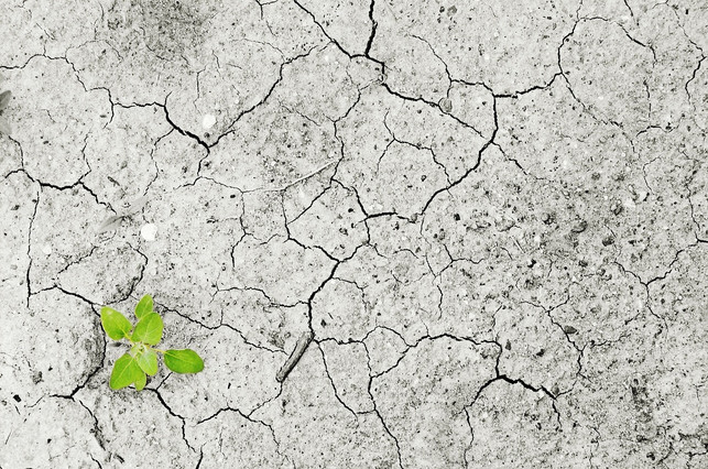 duerre-durch-klimawandel-cc0-pixabay-andreas160578-180226_download Dürre durch Klimawandel