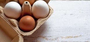 Eier in den Kühlschrank