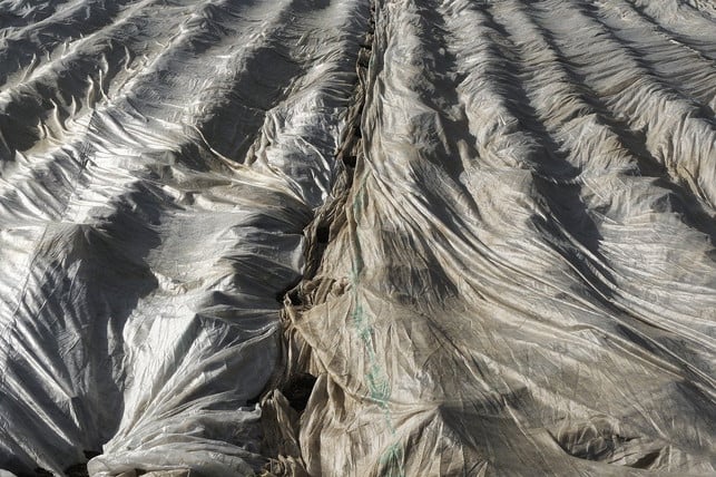 vlies-kann-pflanzen-schuetzen-cc0-pixabay-anaterate-200419_download Vlies kann Pflanzen schützen und Unkraut bekämpfen.