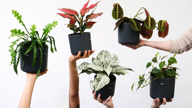 feey-thh6mopEZ8s-unsplash_1920x1080px