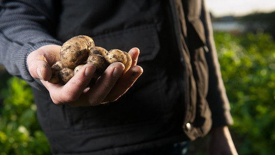 gemeinwohl-oekonomie-us-170201-1280x600 Gemeinwohl-Ökonomie