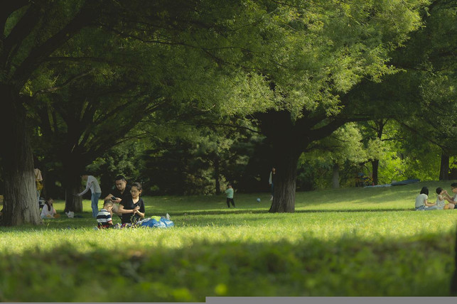 suche-dir-beim-picknick-ein-schattiges-plaetzchen-cc0-pixabay-t_tide-220623_download Suche dir beim Picknick ein schattiges Plätzchen.