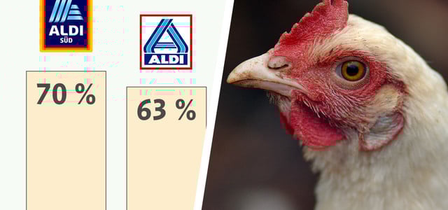 Masthuhn-Report 2025: Was tun Aldi, Lidl und Co. wirklich für das Tierwohl? (Bild: Albert Schweitzer Stiftung für unsere Mitwelt / CC BY 4.0 // CC0 / Unsplash - Jet Stouten) Masthuhn-Report 2025
