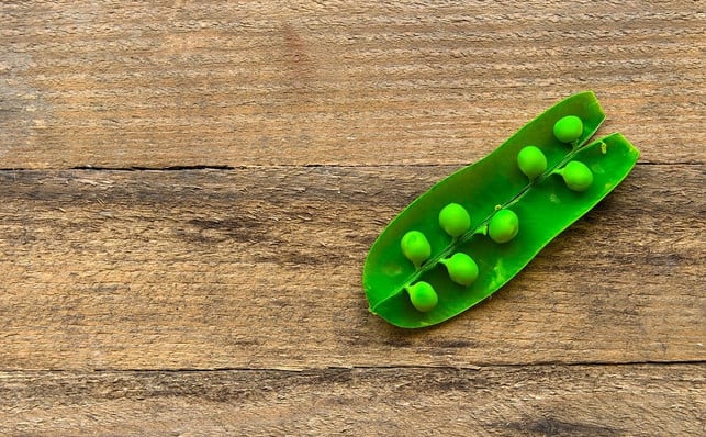 du-kannst-von-zuckerschoten-roh-essen-wenn-du-die-cc0-pixabay-28366294-241215_download Du kannst von Zuckerschoten roh essen, wenn du die Enden und die Fäden entfernst.