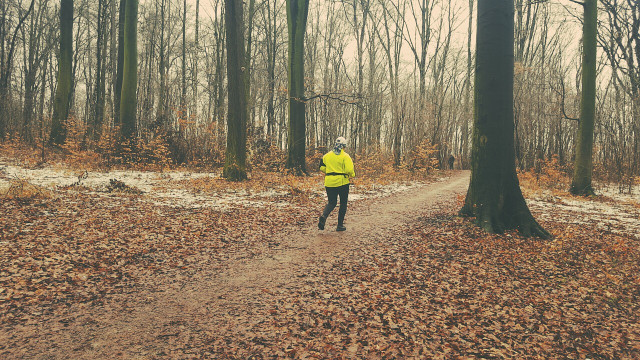 Even in winter, a walk in the forest is like medicine for the circulatory system.