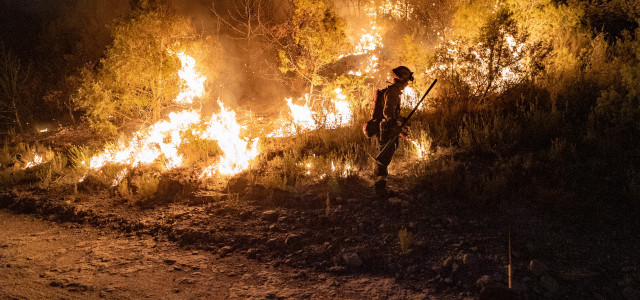 Spanien, Barcelona: Feuerwehrleute der katalanischen Regierung, die auf Waldbrände spezialisiert sind (GRAF), bekämpfen zusammen mit freiwilligen Helfer:innen aus dem Forstbereich die Brände.