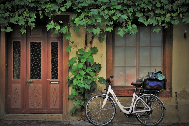 klimaschutz-faengt-vor-der-eigenen-haustuer-an-cc0-pixabay-pasja1000-200227_download Klimaschutz fängt vor der eigenen Haustür an.