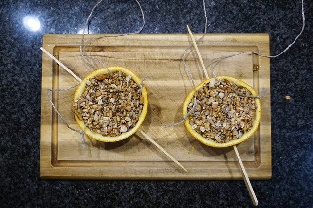 mit-vogelfutter-in-orangenschalen-kannst-du-voegel-laura-hintereder-utopia-241223_download Mit Vogelfutter in Orangenschalen kannst du Vögel in deinem Garten versorgen.