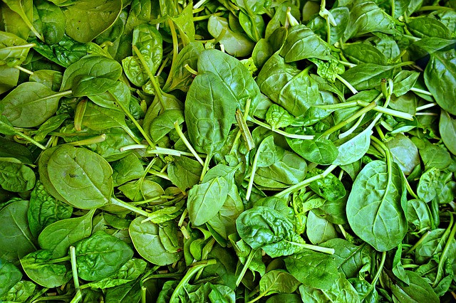 spinach-1522283_640 Vitamin - Vitamine