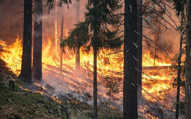 feuer-klimawandel-flucht-pb-170530-1280x800 Feuer Waldbrand Klimawandel Flucht