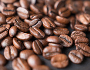 Umfrage: Kaffee Fair Trade Bio FdW