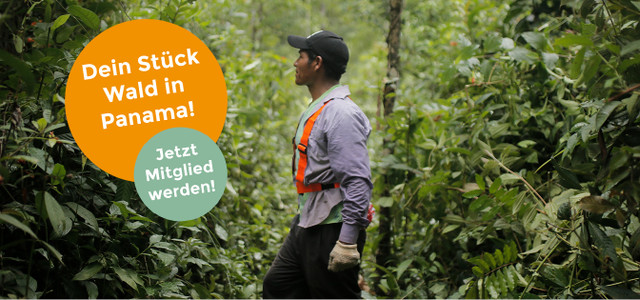 The Generation Forest: Gemeinsam mehr erreichen - Dein Stück Wald in Panama!