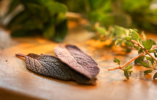 zitronenthymian-eignet-sich-gut-zum-verfeinern-med-cc0-pixabay-andreasgoellner-190527_download Zitronenthymian eignet sich gut zum Verfeinern mediterraner Gerichte.