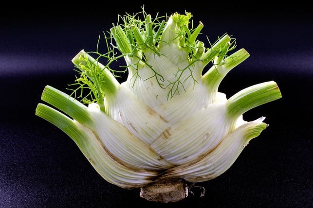 fenchel-ist-eine-tolle-gemuesebeilage-fuers-grillen-cc0-pixabay-boustifaille-240514_download Fenchel ist eine tolle Gemüsebeilage fürs Grillen.