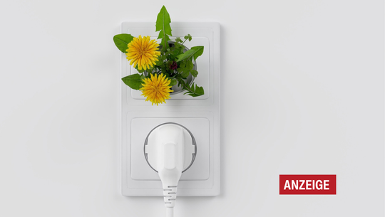 ein-wechsel-zu-oekostrom-lohnt-sich-auch-fuer-single-cc0--pixabay--colin00b-251106 Ein Wechsel zu Ökostrom lohnt sich auch für Single-Haushalte.