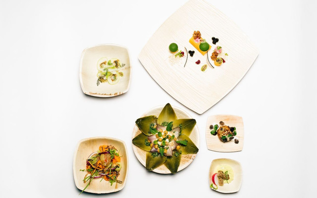 Leef Palmblätter Teller Leef Palmblätter Teller