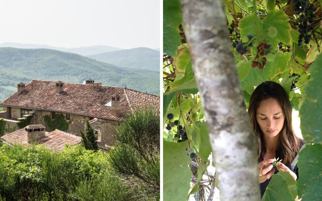 good-travel-herbsturlaub-weingut-z-titelbild-170911-1280x600