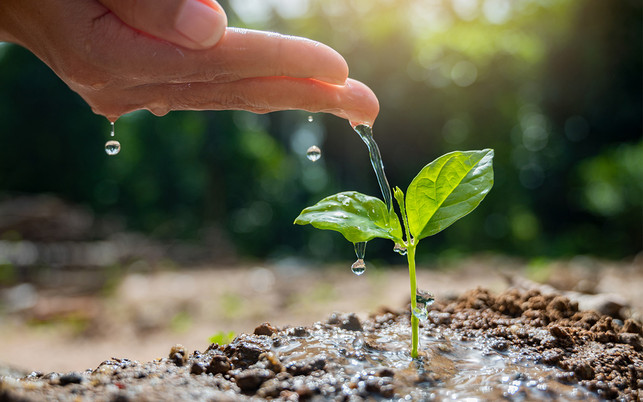 VRK – Versicherer im Raum der Kirchen – Nachhaltig Leben VRK Nachhaltige Versicherung
