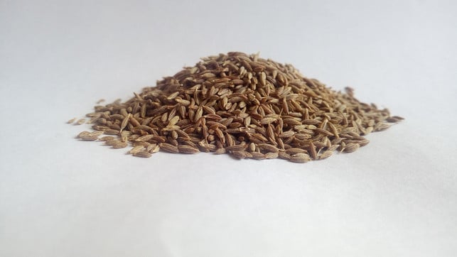 der-grosse-unterschied-zwischen-kuemmel-und-kreuzkuem-cc0-pixabay-amatussamitahera-250310_download Der große Unterschied zwischen Kümmel und Kreuzkümmel ist der Geschmack.