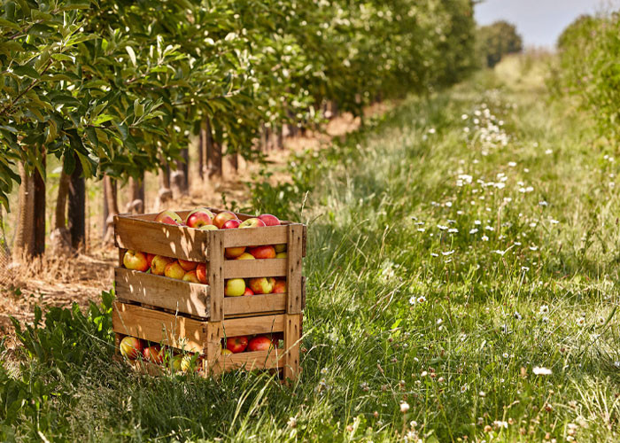 Utopia_neue_bilder_nachhaltigkeit_2020Header
