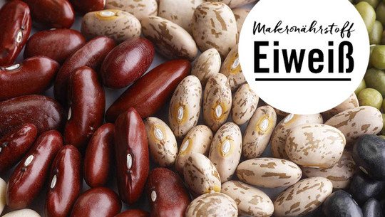 Eiweiss-1280x720 Eiweiss