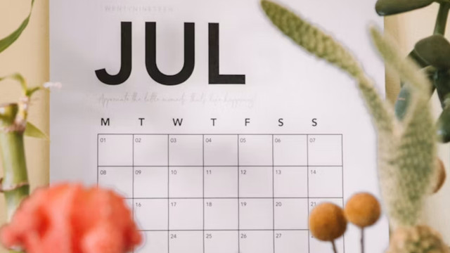 kalender-juli-us-maddi-bazzocco-260623 Kalenderblatt für den Monat Juli, umgeben von unscharfen Pflanzen und Blumen im Vordergrund.